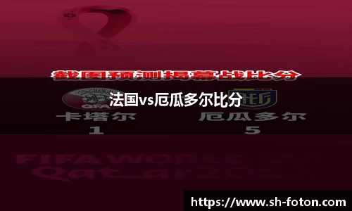 法国vs厄瓜多尔比分