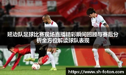 延边队足球比赛现场直播精彩瞬间回顾与赛后分析全方位解读球队表现